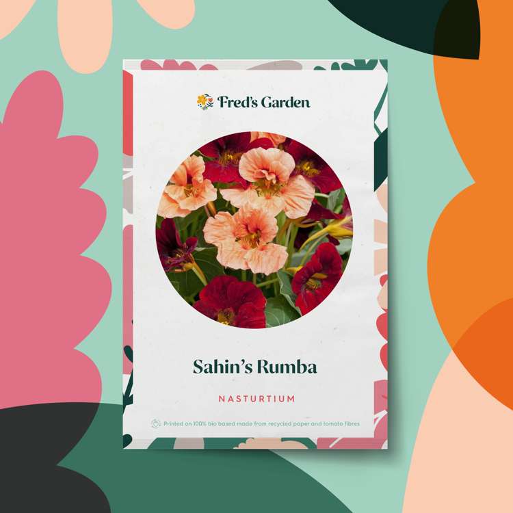 Krasse 'Sahin's Rumba' (frö)